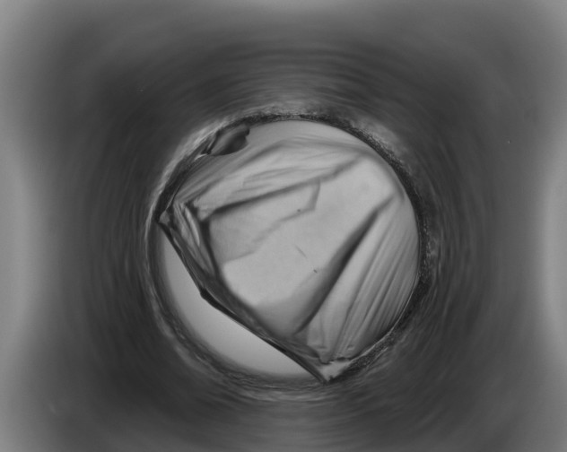 X0000086320678200704202022