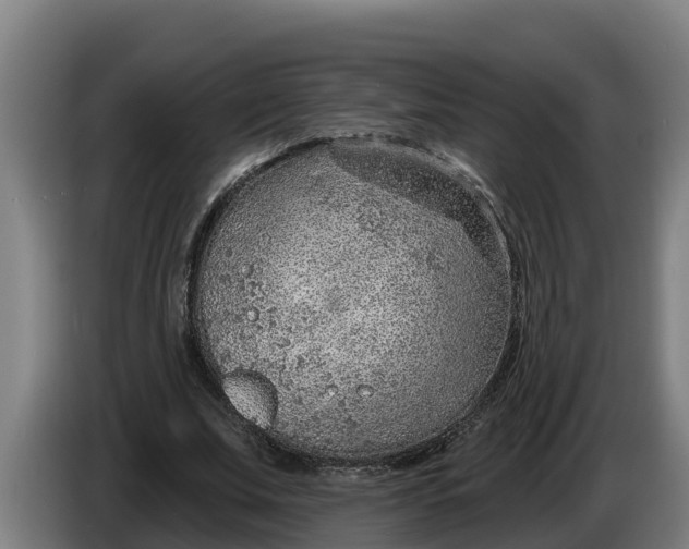 X0000086320679200704202022