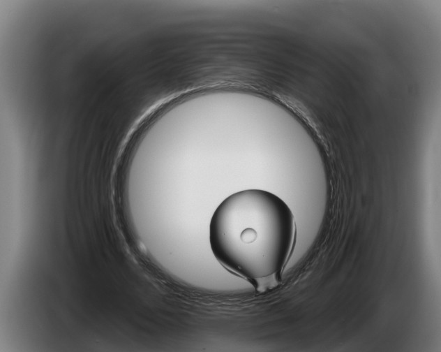 X0000086320680200704202022