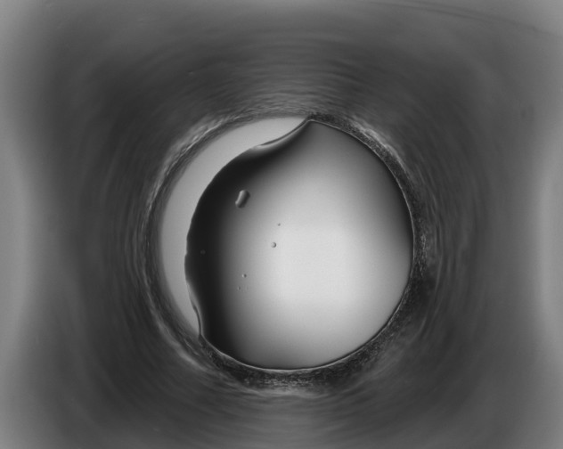 X0000086320682200704202022