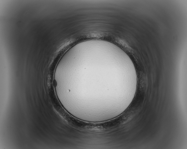 X0000086320683200704202022