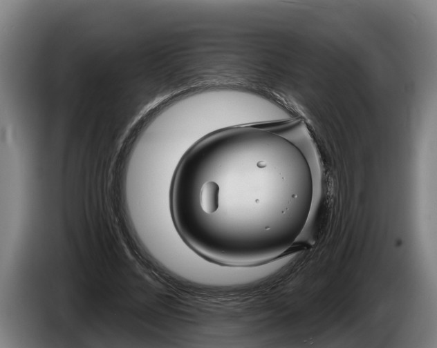 X0000086320684200704202022