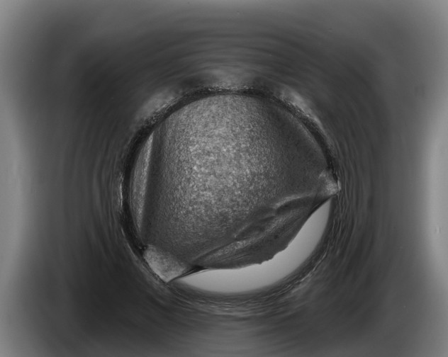 X0000086320685200704202022