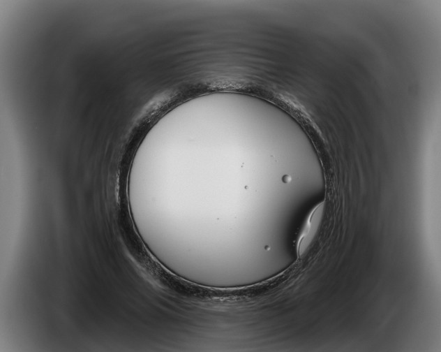 X0000086320686200704202022