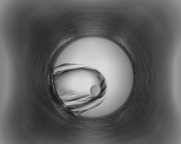 X0000086320688200704202022