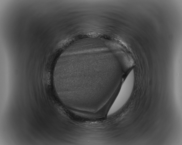 X0000086320689200704202022