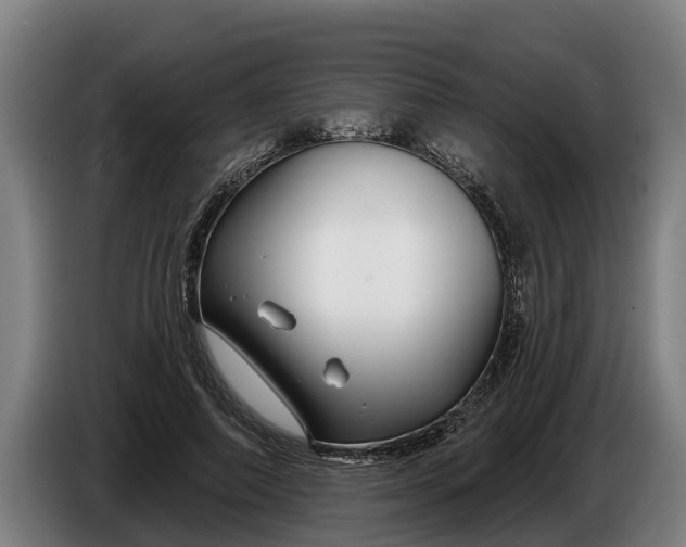 X0000086320690200704202022