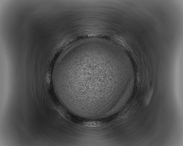 X0000086320691200704202022