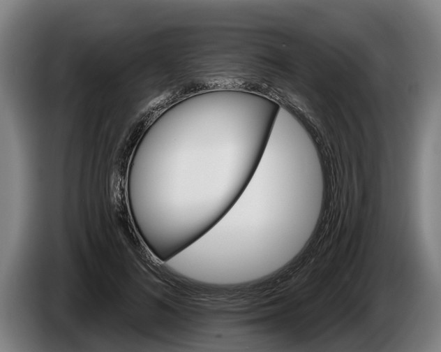 X0000086320692200704202022