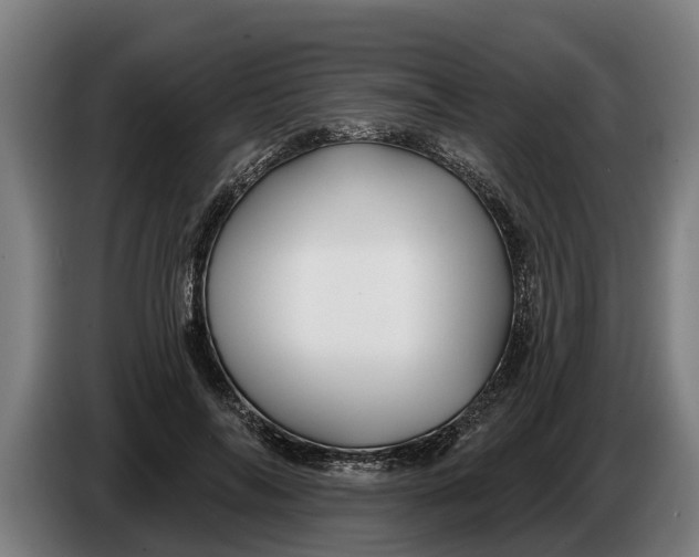 X0000086320694200704202022