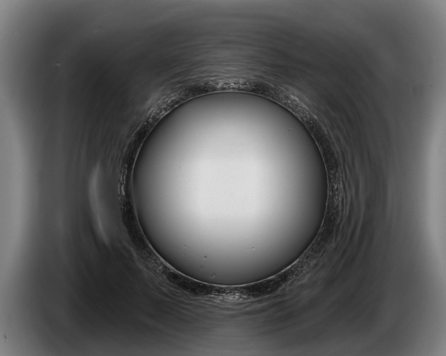 X0000086320695200704202022