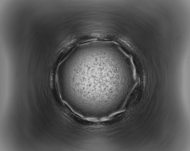 X0000086320696200704202022