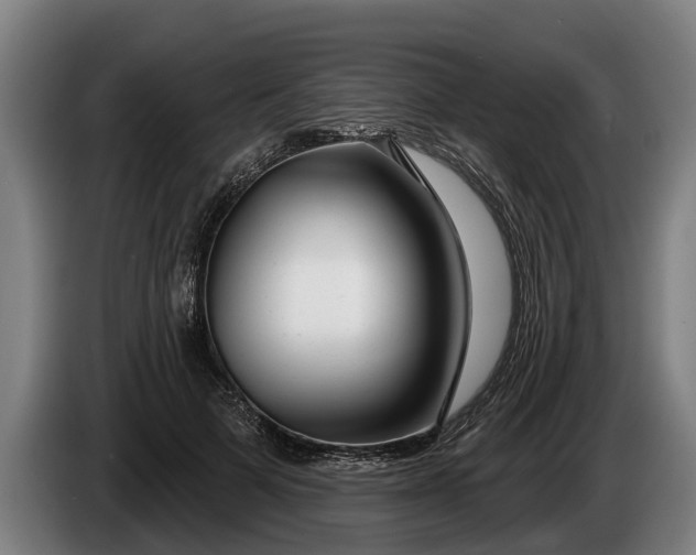 X0000086320697200704202022