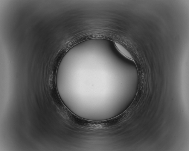 X0000086320698200704202022