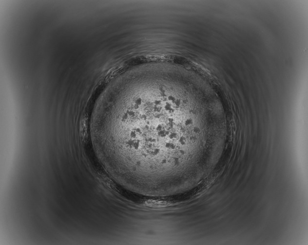 X0000086320699200704202022