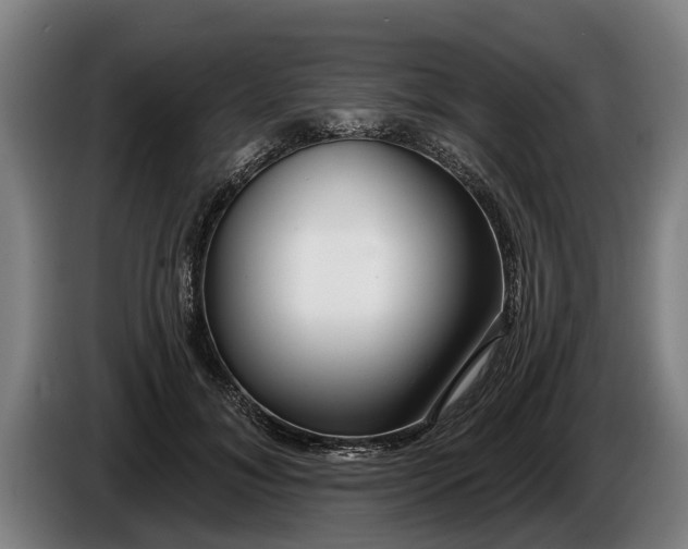 X0000086320700200704202022