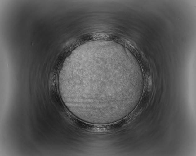 X0000086320701200704202022