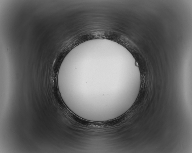 X0000086320702200704202022