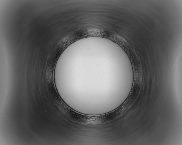 X0000086320705200704202022