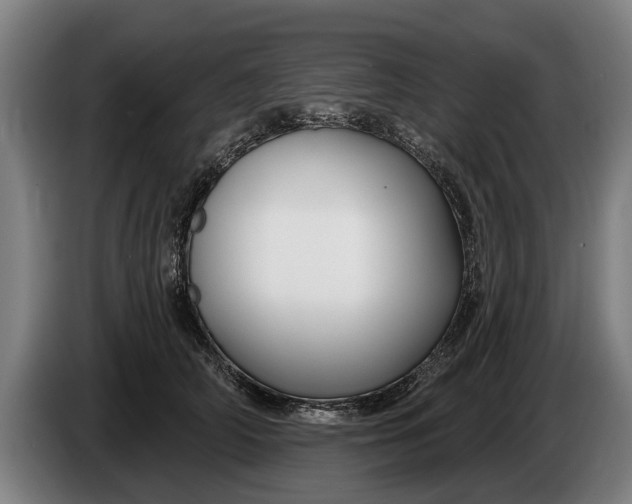 X0000086320706200704202022