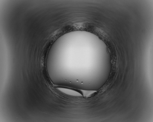 X0000086320710200704202022