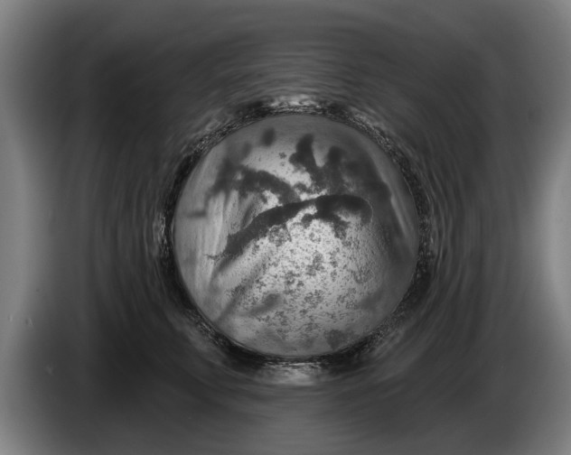 X0000086320711200704202022