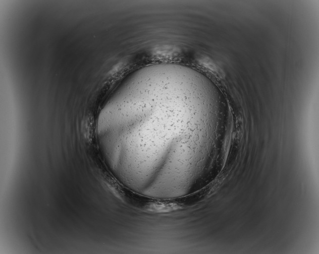 X0000086320712200704202022