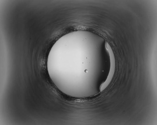 X0000086320714200704202022