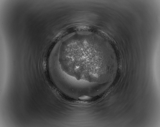 X0000086320715200704202022