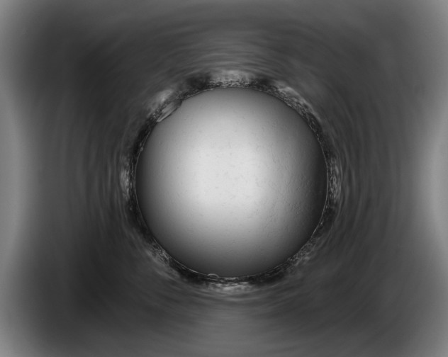 X0000086320716200704202022