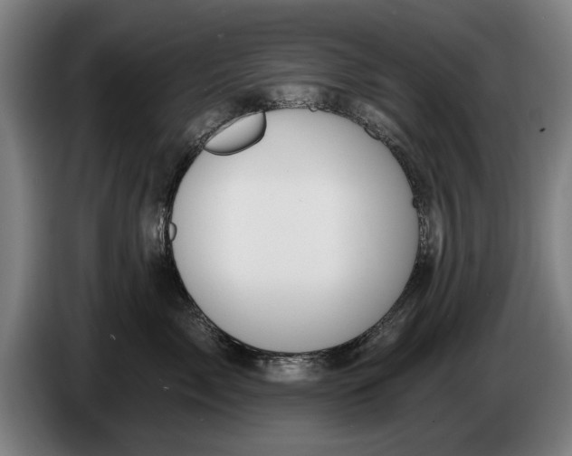 X0000086320717200704202022