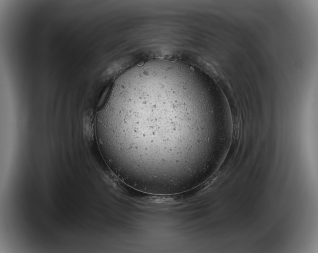 X0000086320719200704202022