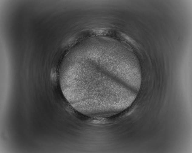 X0000086320720200704202022