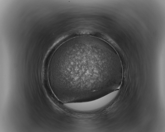 X0000086320722200704202021