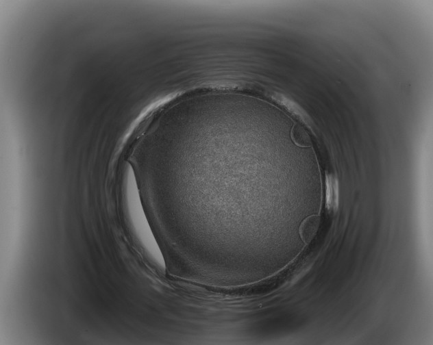 X0000086320723200704202021