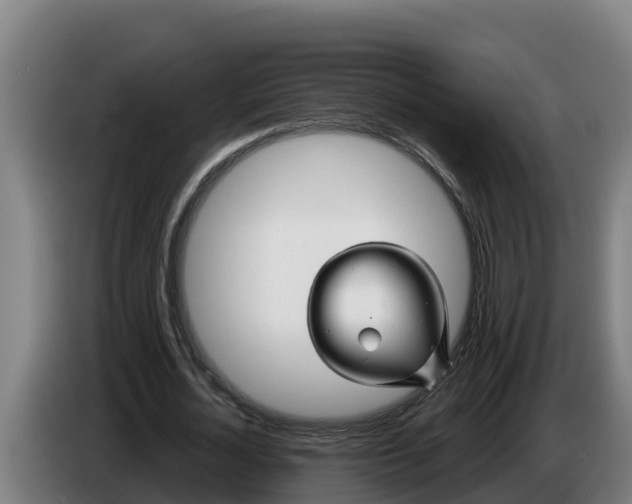 X0000086320724200704202021