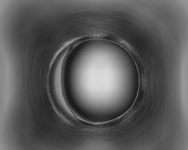 X0000086320726200704202021