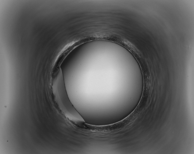 X0000086320727200704202021