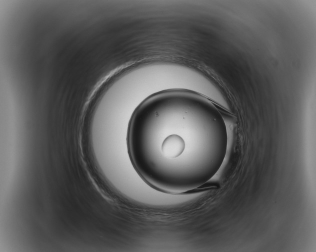 X0000086320728200704202021