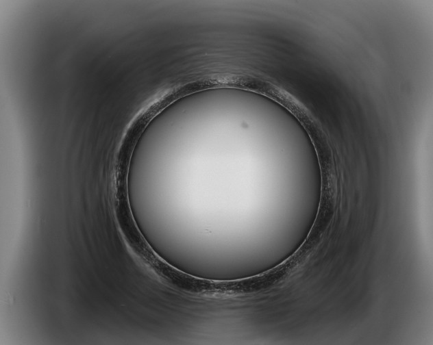 X0000086320730200704202021