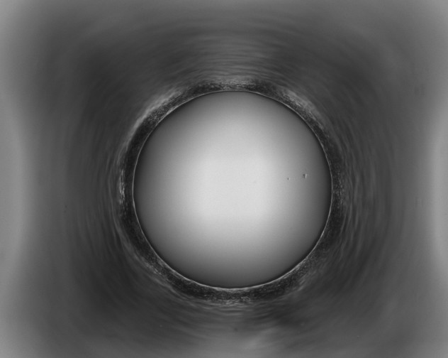 X0000086320731200704202021