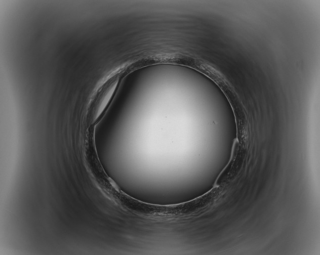 X0000086320732200704202021