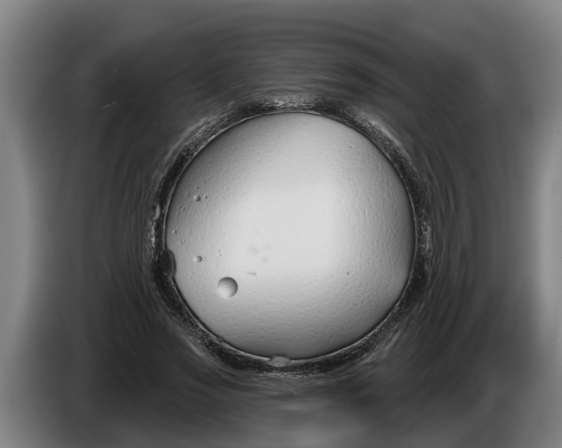 X0000086320733200704202021