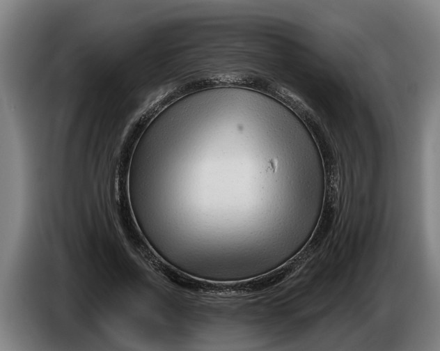 X0000086320734200704202021