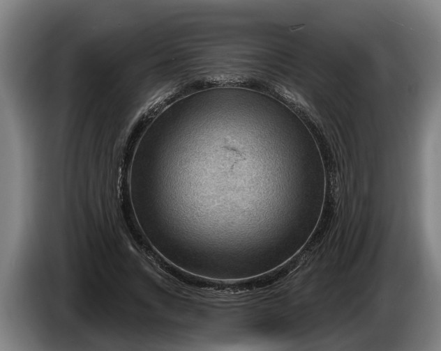 X0000086320735200704202021