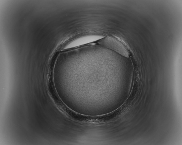 X0000086320736200704202021