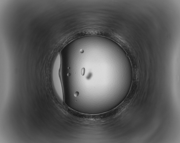 X0000086320737200704202021