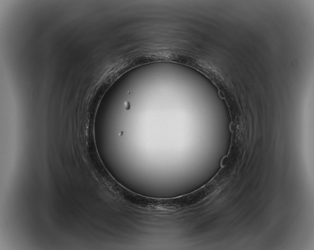 X0000086320739200704202021