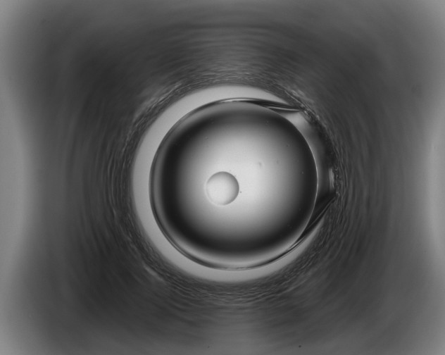 X0000086320740200704202021