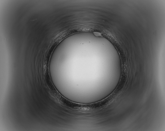 X0000086320741200704202021